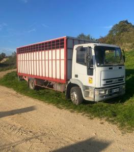 Kilom&eacute;trage&nbsp;: 450 000km

Mise en circulation&nbsp;: 26/01/2001

Dimension utile de la caisse&nbsp;: 6x2.20x2.20 m

Dimension hors tout du camion&nbsp;: 8,10x2,50x3m 

Dimension pneus&nbsp;: 265/70R19.5

Usure pneumatique avant&nbsp;: 50%

Usure pneumatique arri&egrave;re&nbsp;: 20%

Boite de vitesse &agrave; &eacute;tage 8 vitesse

V&eacute;hicule visible dans le 07430 Savas 
